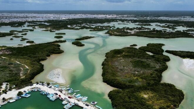 Chuburna ISLA COLUMPIOS Private Tour! - What to Bring and Restrictions