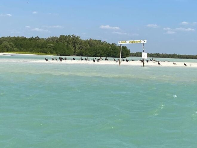 Chuburna ISLA COLUMPIOS Private Tour! - Pricing and Payment