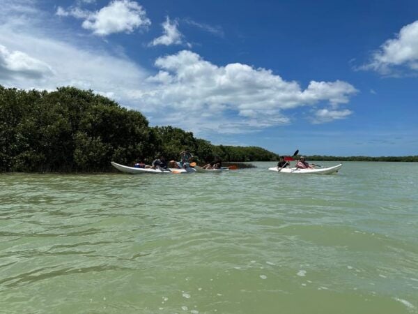 Chuburna ISLA COLUMPIOS Private Tour! - Tour Duration and Schedule