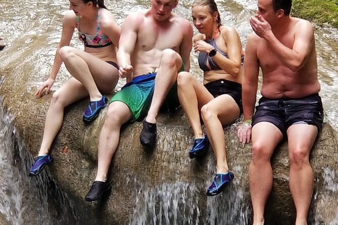 Chuck Norris Secret Falls and Lunch - Lush Rainforest Landscape