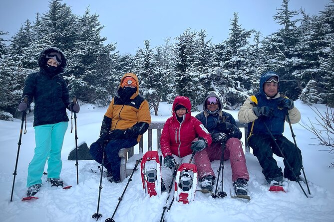 Chugach State Park Easy Snowshoeing Adventure  - Anchorage - Overview and Logistics