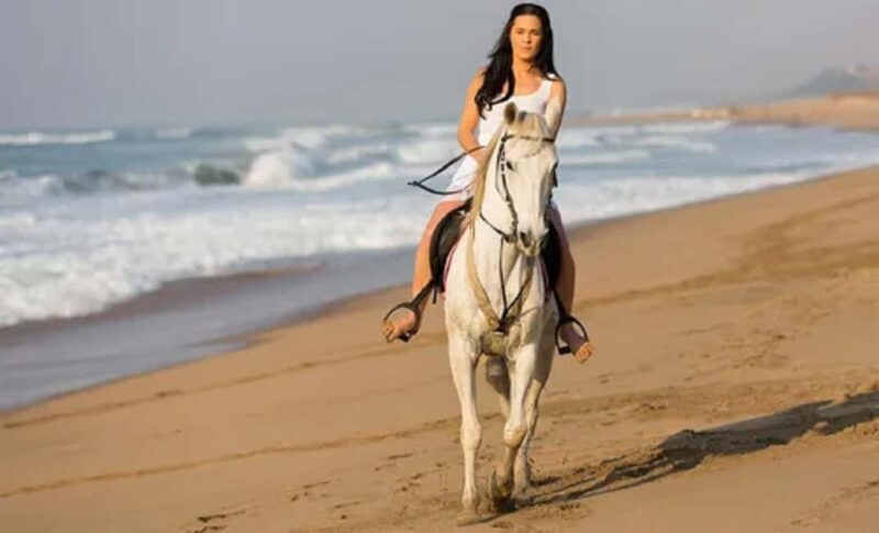 Chukka Packaged Activities transportation - The Sum Up: Who Will Love This Tour?