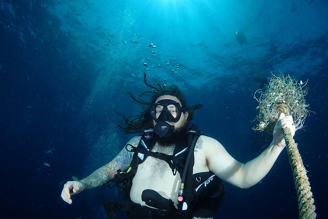 Chumphon Pinnacle-Koh Tao 2 Dive Trip for Certified Divers - Trip Highlights
