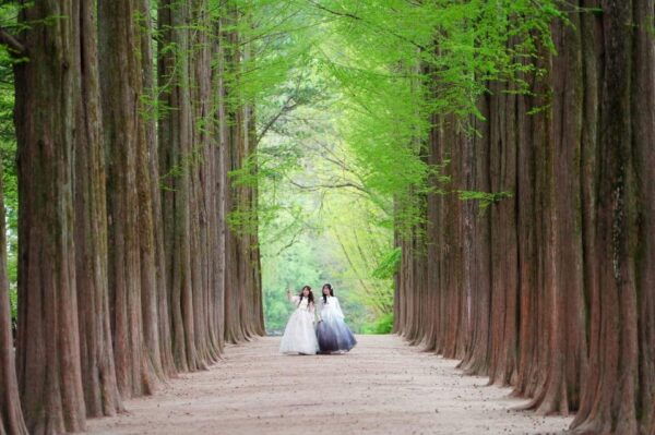 Chuncheon Hanbok Rental Experience - Best Locations for Photos