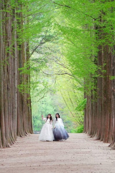 Chuncheon Hanbok Rental Experience - Questions You May Have