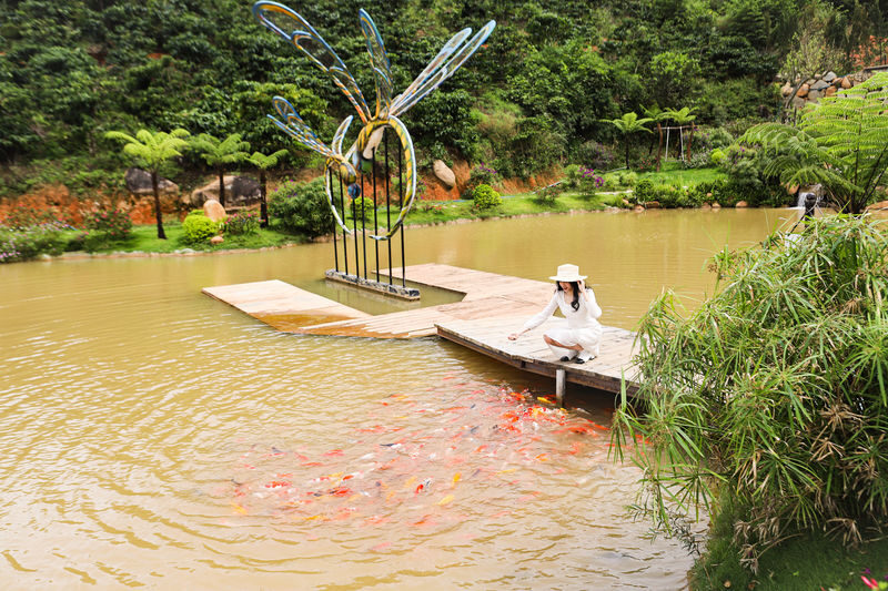 Chuon Chuon Bistro Da Lat Ticket - What the visit feels like on the ground