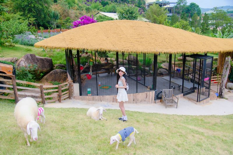 Chuon Chuon Bistro Da Lat Ticket - Check the ticket before you commit