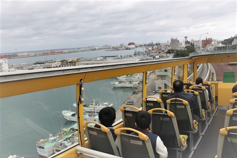 Churashima open top bus tour or Starry sky tour (Naha Departure) - What the open-top bus is really like