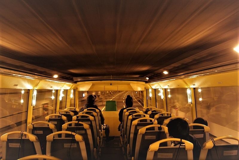Churashima open top bus tour or Starry sky tour (Naha Departure) - Is the fare good value?