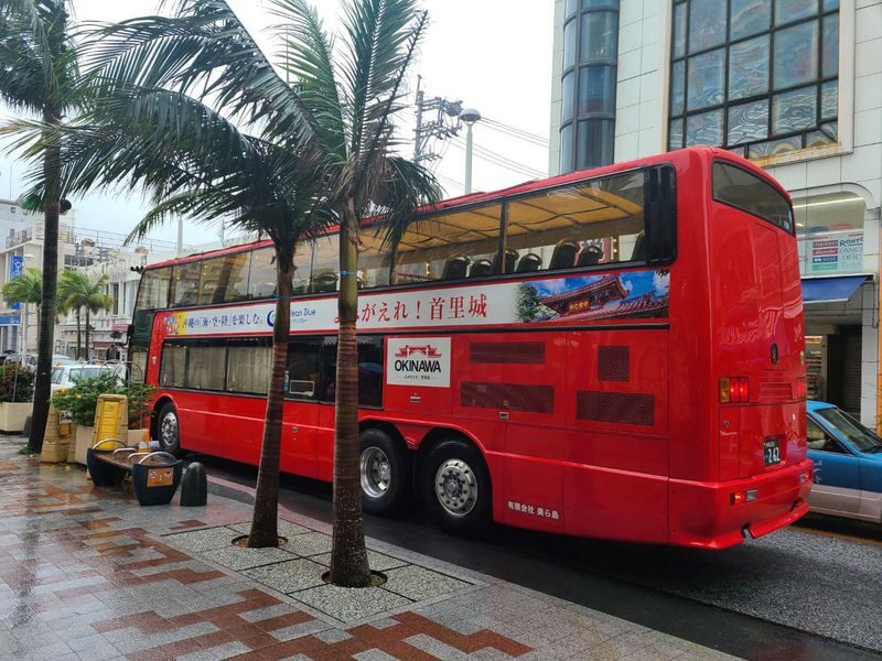 Churashima open top bus tour or Starry sky tour (Naha Departure) - Who should book this tour?