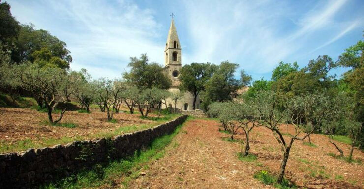 Churches of Provence & French Countryside Private Tour - Highlights of the Tour