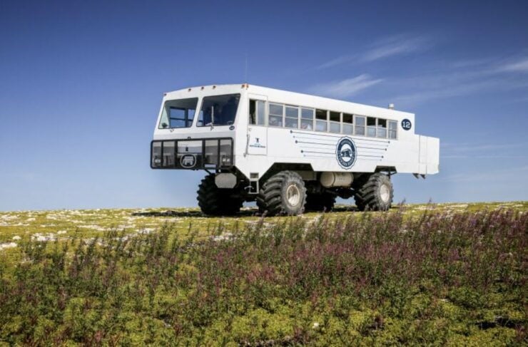 Churchill: Exclusive Tundra Buggy Day Trip - Activity Details