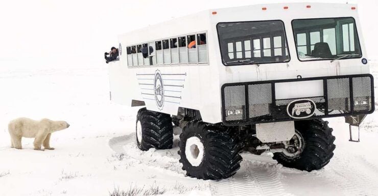 Churchill: Exclusive Tundra Buggy Day Trip - Experience Package