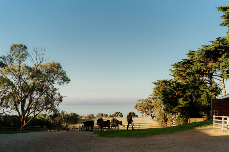 Churchill Island Ticket in Phillip Island - Take the North-Point Loop slowly