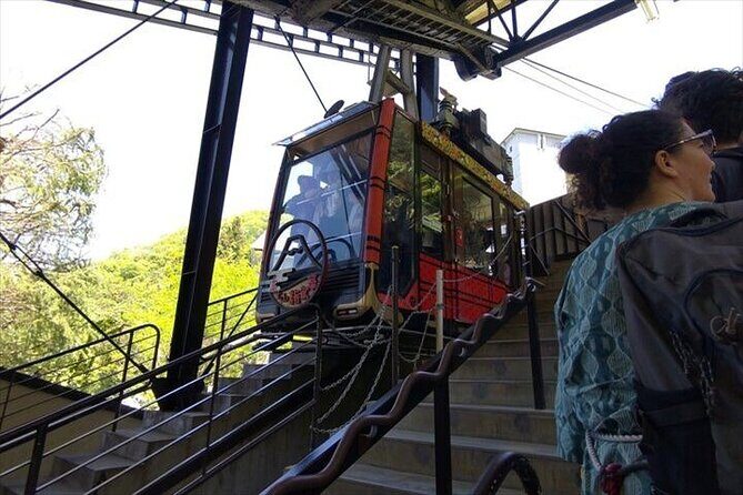 Chureito Pagoda-Arakurayama and Lake Kawaguchi Guided Tour - Cost and Value