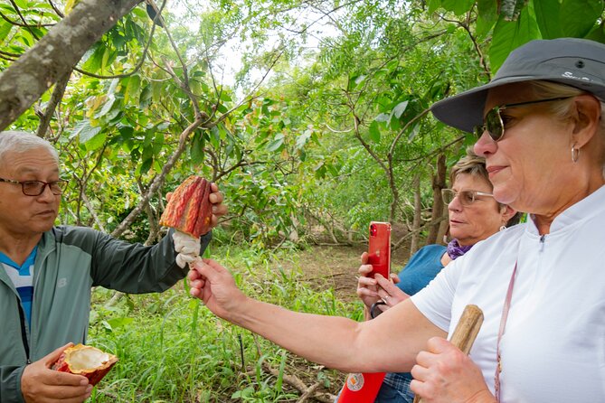 Churute Mangrove Ecological Reserve and Cocoa Farm - Tour Highlights