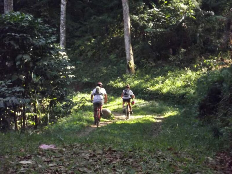 CIanjur : Downhill and Countryside Cianjur Cycling Tour - Good To Know