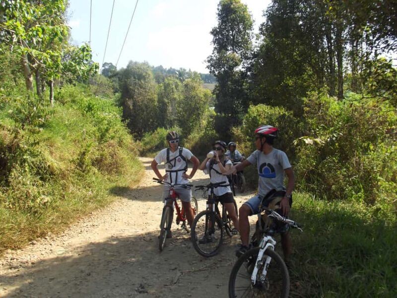 CIanjur : Downhill and Countryside Cianjur Cycling Tour - An In-Depth Look at the Cianjur Cycling Tour