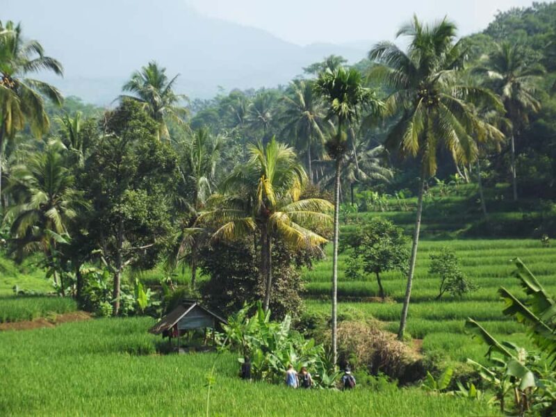 CIanjur : Downhill and Countryside Cianjur Cycling Tour - Frequently Asked Questions