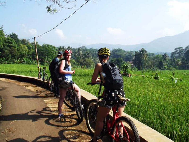 CIanjur : Downhill and Countryside Cianjur Cycling Tour - Cianjur: Downhill and Countryside Cianjur Cycling Tour