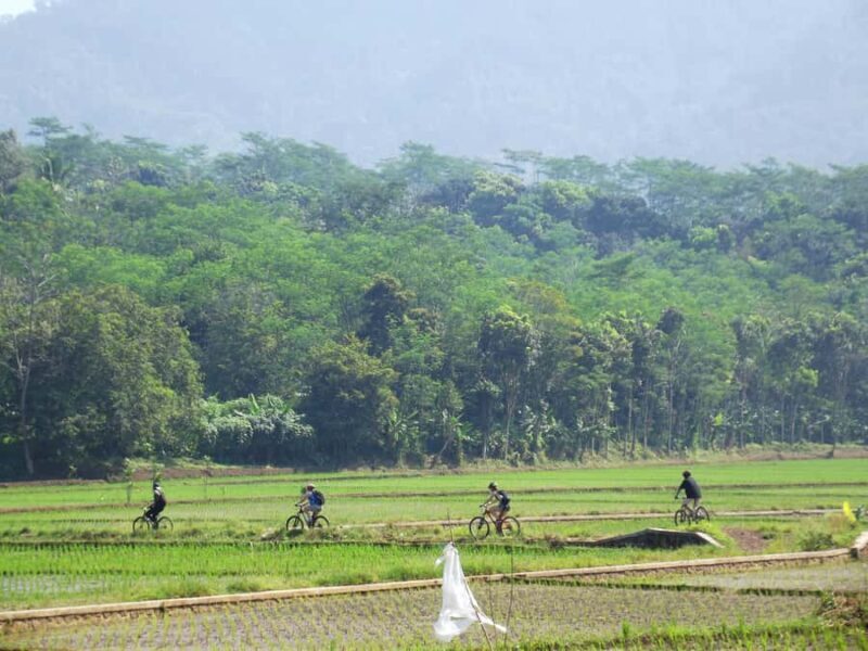 CIanjur : Downhill and Countryside Cianjur Cycling Tour - The Downhill Experience: A Real Adrenaline Rush