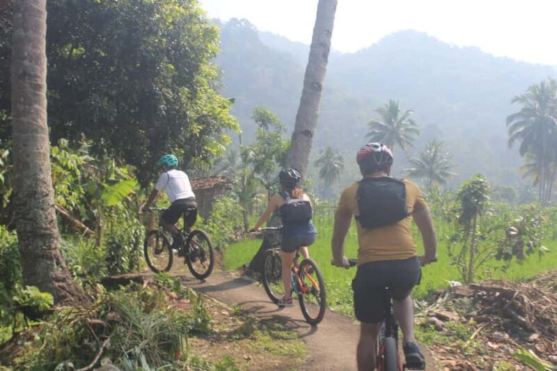 CIanjur : Downhill and Countryside Cianjur Cycling Tour - Final Thoughts