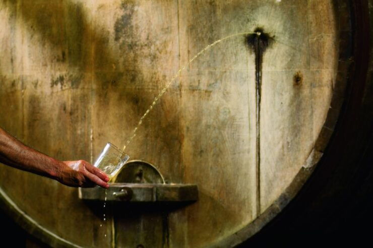 Cider House Experience From San Sebastián - Description of the Experience