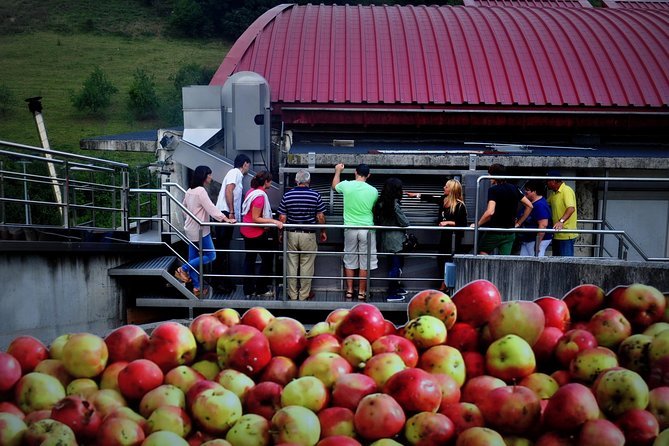 Cider House Experience From San Sebastian - Visit a Traditional Cider House