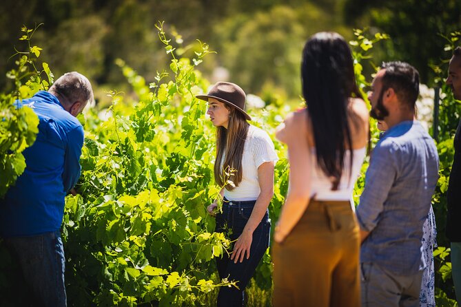 Cider, Wine & Whiskey Tour: Small Group Full-Day Tour From Perth - Common Questions