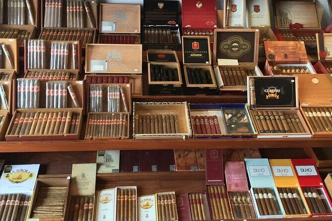 Cigar Shopping Tour in Punta Cana with Transportation Included - An In-Depth Look at the Cigar Shopping Tour in Punta Cana