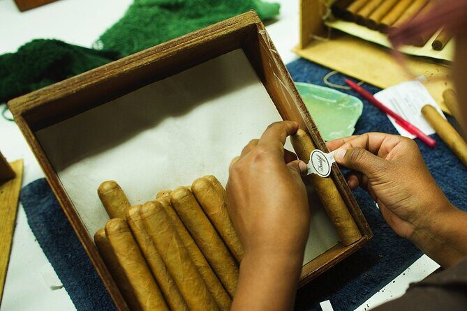 Cigar Shopping Tour in Punta Cana with Transportation Included - FAQ