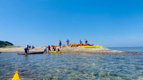 Cilento Coast: Kayak Week Including Hotels - Frequently Asked Questions