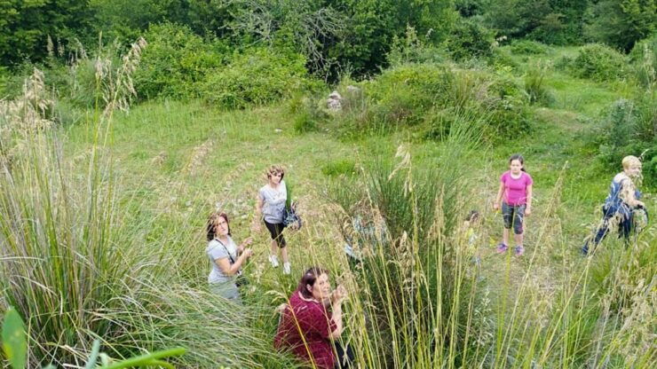 Cilento: Discovering the Art of Broom Spinning in Tortorella - Good To Know