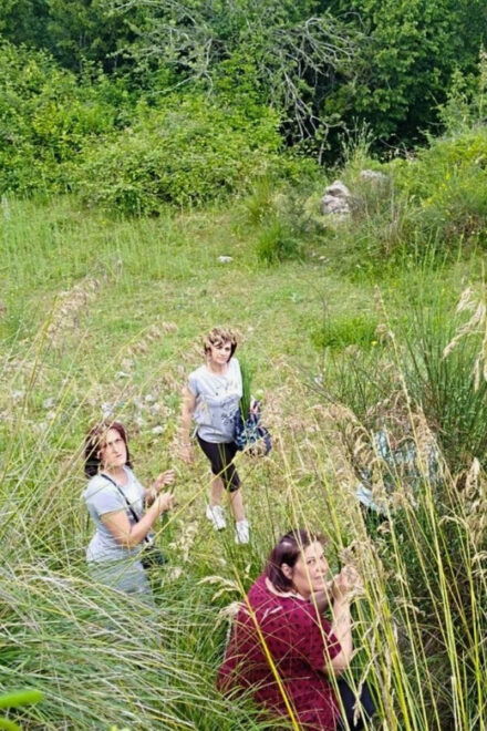 Cilento: Discovering the Art of Broom Spinning in Tortorella - Booking Your Experience