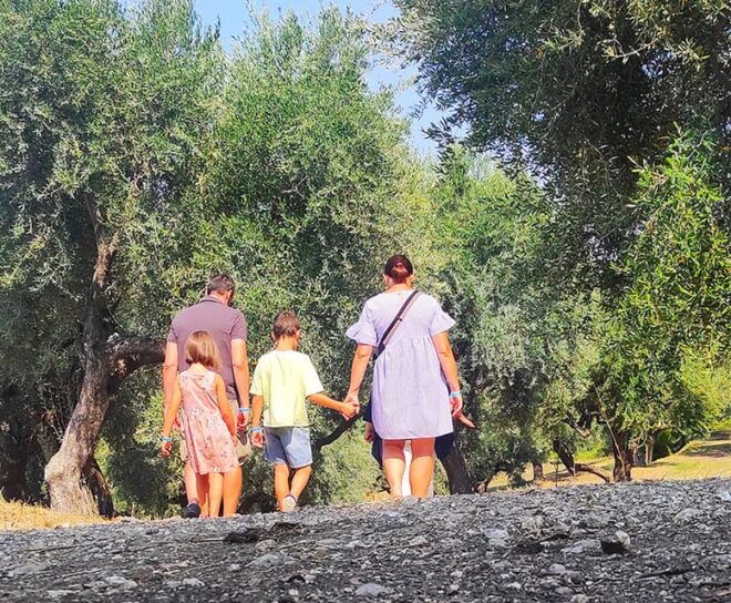 Cilento Olive Experience - Nature Immersion Activities