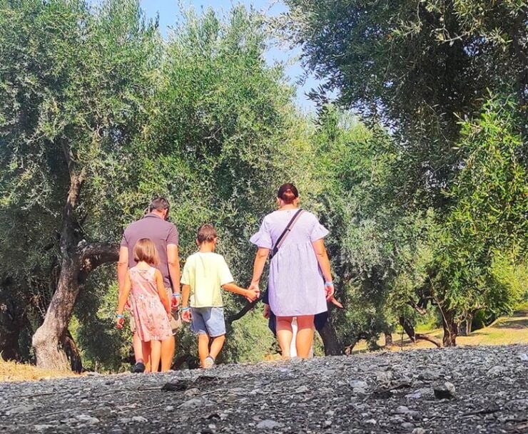 Cilento Olive Experience - Experience Details