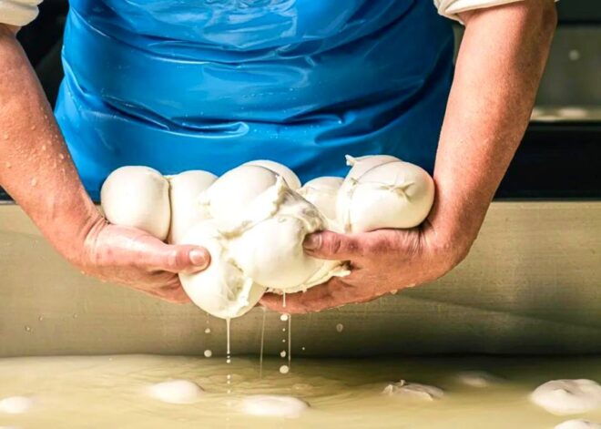 Cilento: Paestum Temples and Mozzarella Experience - Booking Information