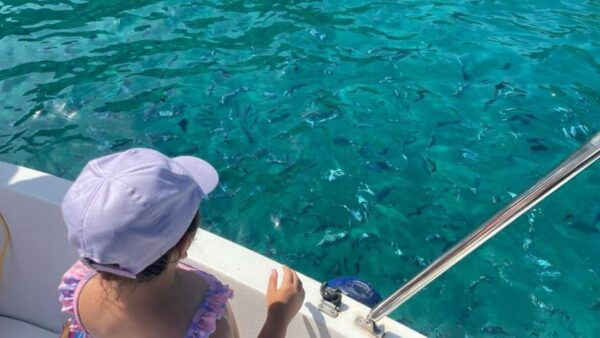 Cilento: Sunset Tour Departing From Agropoli - Related Activities in Cilento