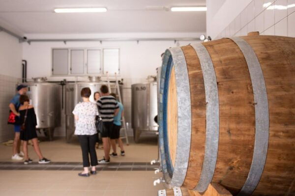 Cilentos Wine Tour: Discover the Secrets - Additional Tips and Recommendations