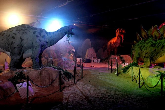 Cinecittà World the Amusement Park of Cinema - Park Overview