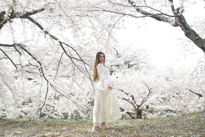 Cinematic Photography and Filmmaking Experience in Nakajima Park - An In-Depth Look at the Experience