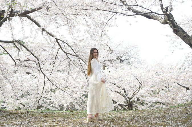 Cinematic Photography and Filmmaking Experience in Nakajima Park - Final Thoughts  