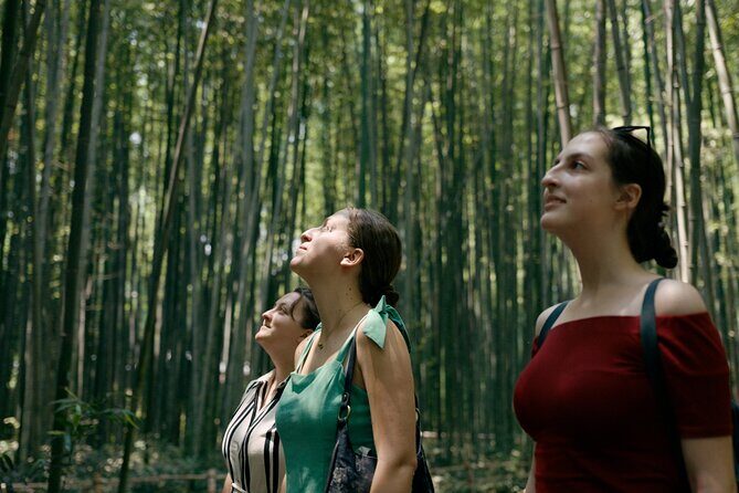 Cinematic Portrait Film Experience in Kyoto with Local Filmmaker - A Closer Look at the Experience