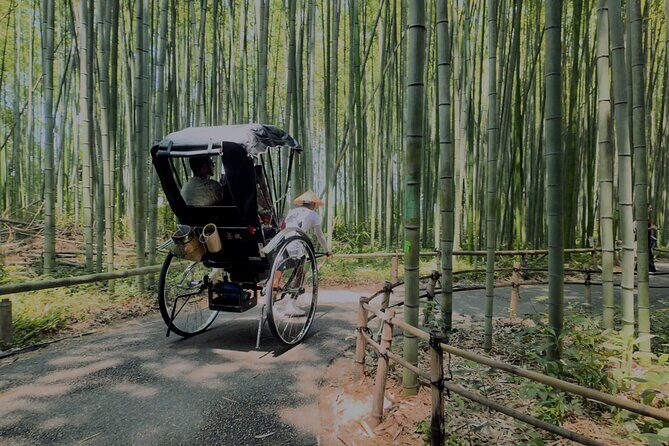 Cinematic Portrait Film Experience in Kyoto with Local Filmmaker - An In-Depth Look at the Experience