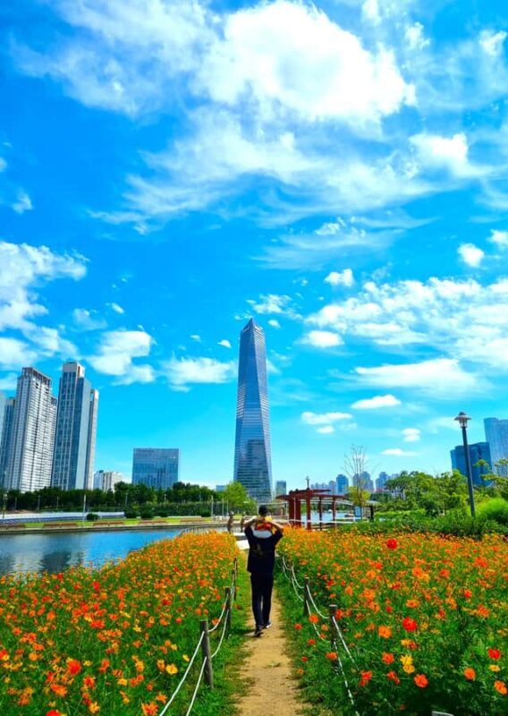 Cinematic Seoul: Private Photo Journey with a Pro - The Detailed Itinerary