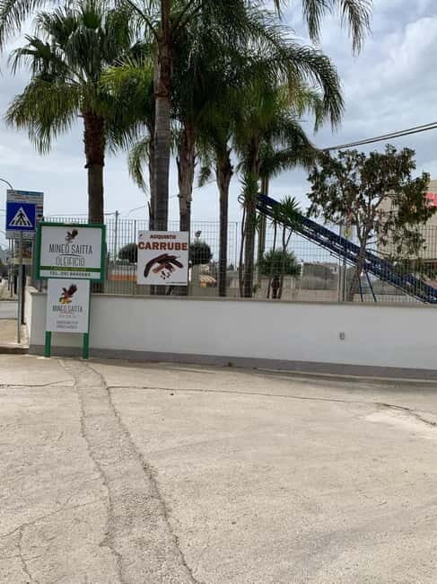 CINISI: OLIVE OIL TOUR- THE OLIVE OIL TASTING AND APERITIF TOUR - Good To Know