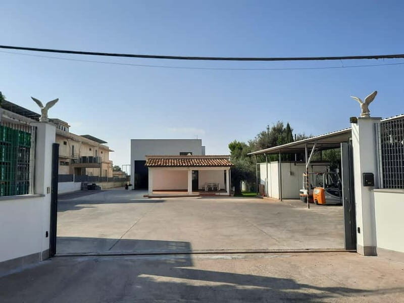 CINISI: OLIVE OIL TOUR- THE OLIVE OIL TASTING AND APERITIF TOUR - What to Expect from the Olive Oil Tour in Cinisi