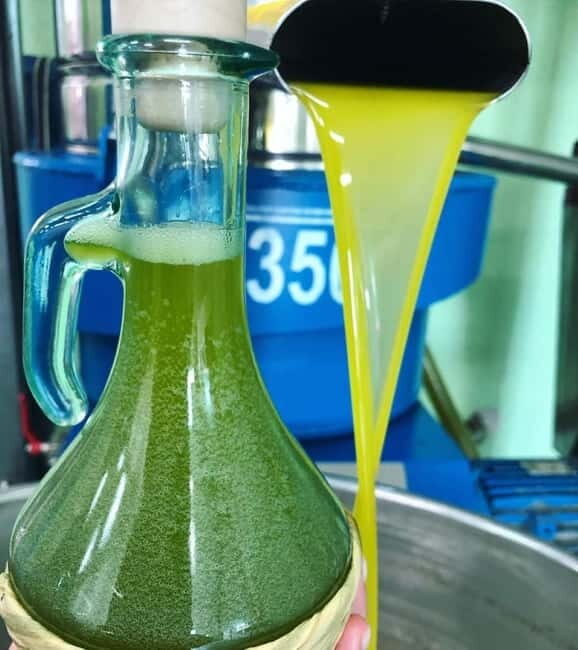 CINISI: OLIVE OIL TOUR- THE OLIVE OIL TASTING AND APERITIF TOUR - FAQ