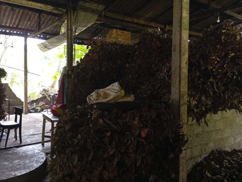 Cinnamon Oil Extraction Tour in Galle - Introduction