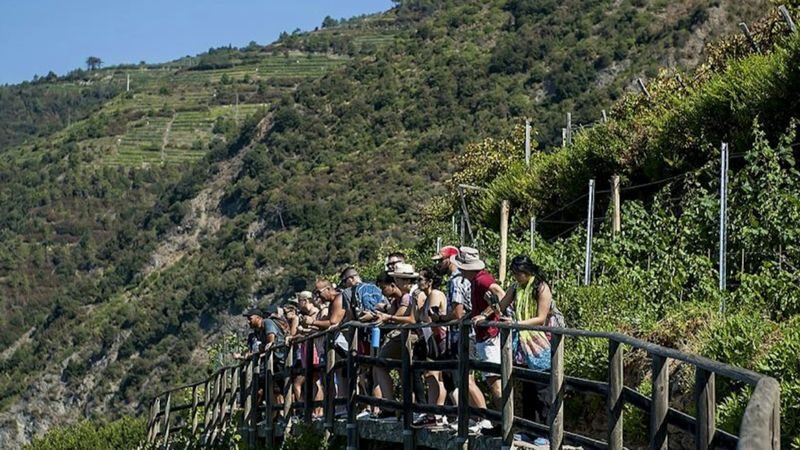 Cinque Terre Day Tour with Optional Hiking from Florence - The guides may be the day’s strongest asset